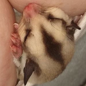 Meet your Posher, Marylee